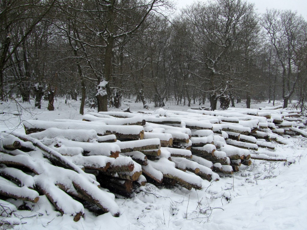 clay road logs