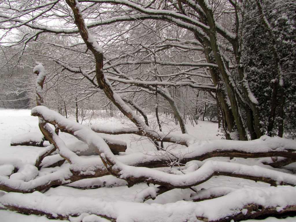 epping snow 1