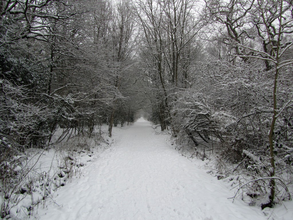 red path