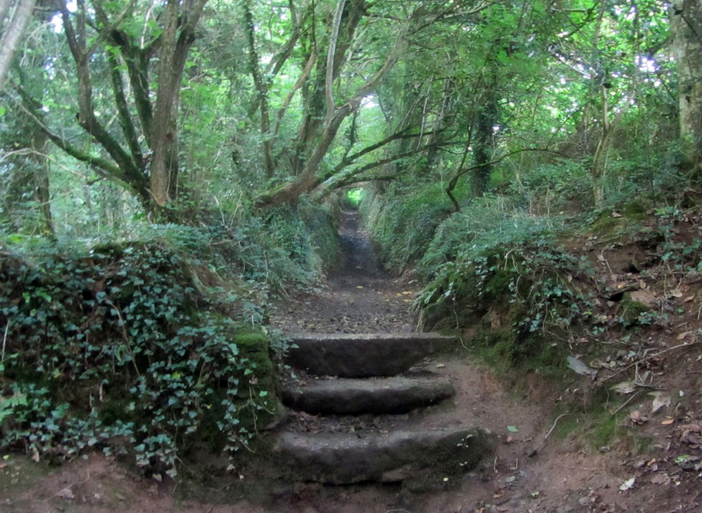 Kestle Wood