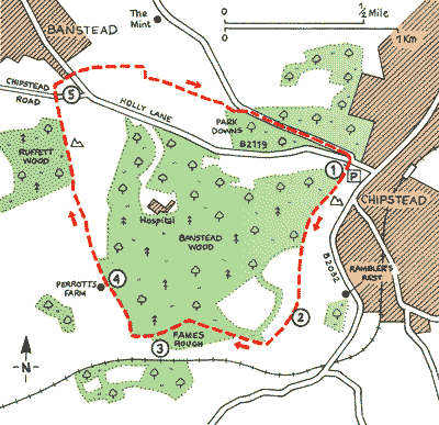 Surrey_Walks_Map11