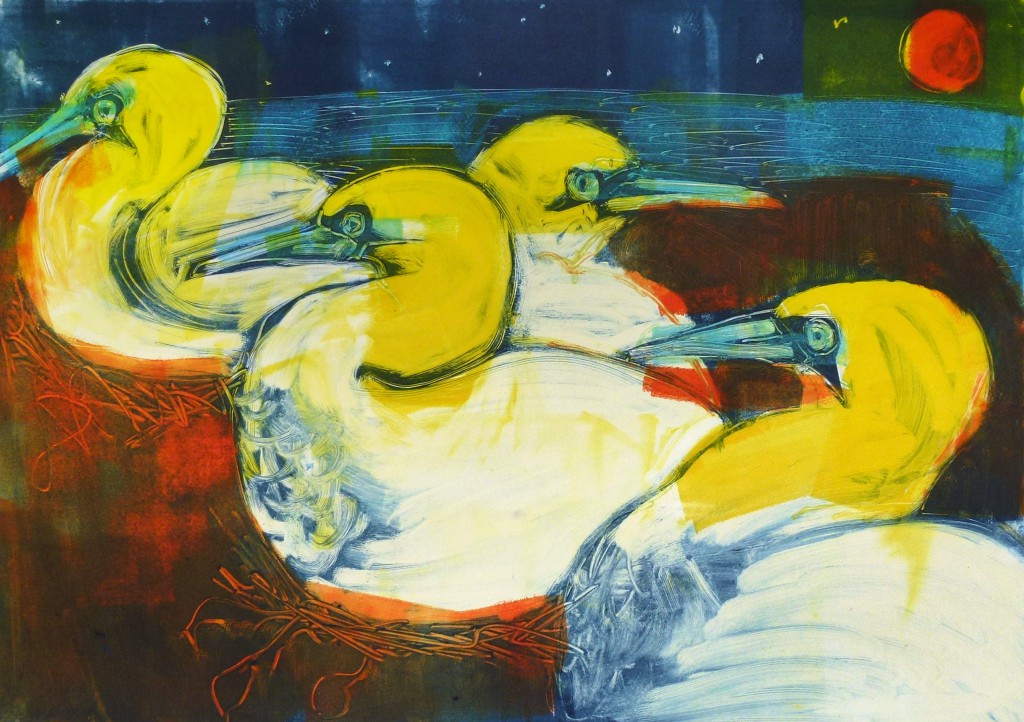 Kittie Jones - Bass Rock Gannets - Monotype