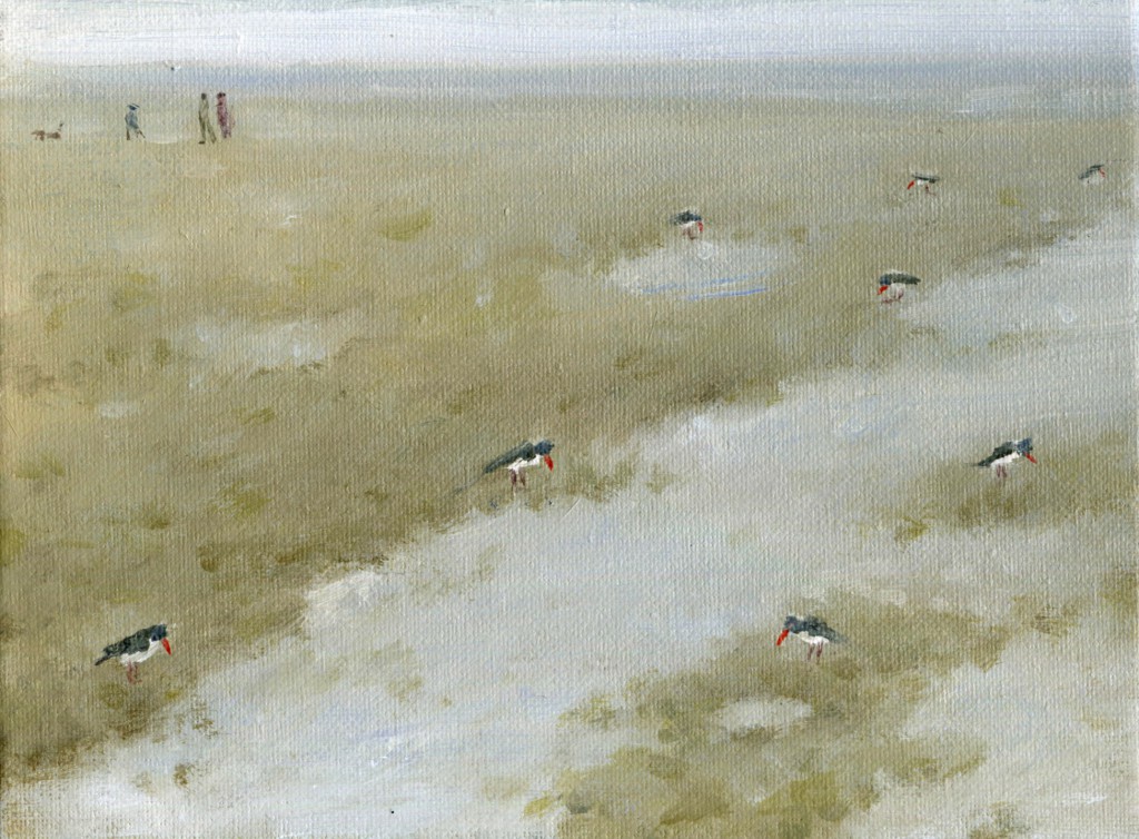 oyster-catchers